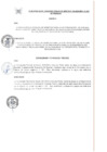 Vista preliminar de documento FE DE ERRATA 004-2025