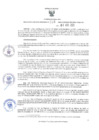 Vista preliminar de documento 210-2025-RER
