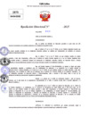 Vista preliminar de documento Resolucion Directoral N° 002625-2025