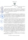Vista preliminar de documento 212-2025-RER