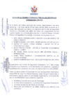 Vista preliminar de documento Acta de la Primera consulta Publica en Seguridad Ciudadana - Chilca