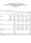 Vista preliminar de documento Proceso presupuestario del año 2025 resumen del marco presupuestal y la ejecución del gasto del mes de enero a marzo