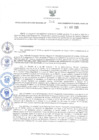 Vista preliminar de documento 204-2025-RER