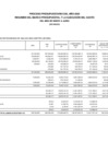 Vista preliminar de documento Proceso presupuestario del año 2020 resumen del marco presupuestal y la ejecución del gasto del mes de enero a junio