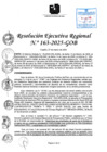 Vista preliminar de documento RER 163-2025-GOB