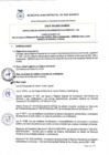 Vista preliminar de documento CAS N001-2025