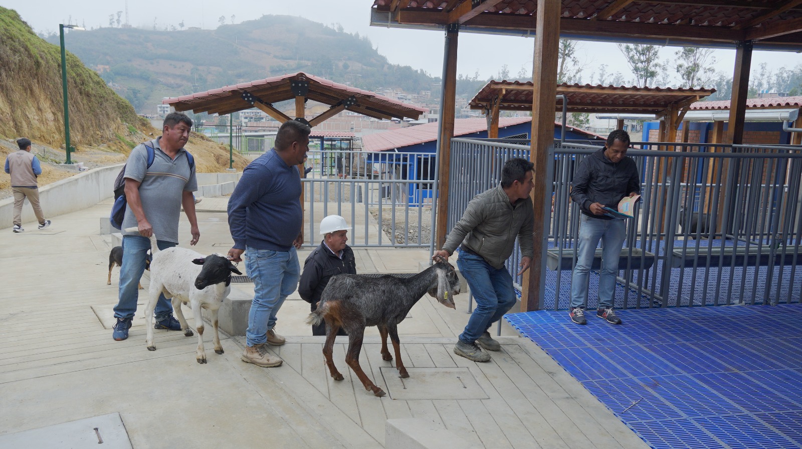 Tecnológico de Huarmaca estrena galpones para mejorar formación de estudiantes en crianza de animales