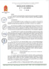 Vista preliminar de documento RG 95-2025-GM-MDT
