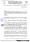 Vista preliminar de documento RESOLUCION DIRECTORAL N° 22
