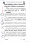 Vista preliminar de documento 0133-2025RG