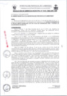 Vista preliminar de documento 0141-2025RG