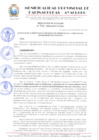 Vista preliminar de documento RESOLUCION 966