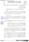 Vista preliminar de documento RESOLUCION DIRECTORAL N° 33