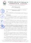 Vista preliminar de documento RESOLUCION 971