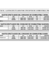 Vista preliminar de documento Gastos Generales - Cuadro Combustibles - Febrero 2025