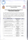 Vista preliminar de documento ACTA DE LA PRIMERA CONSULTA PÚBLICA