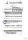 Vista preliminar de documento TDR Nº 1103