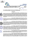 Vista preliminar de documento Resolucion Directoral N° 002651-2025
