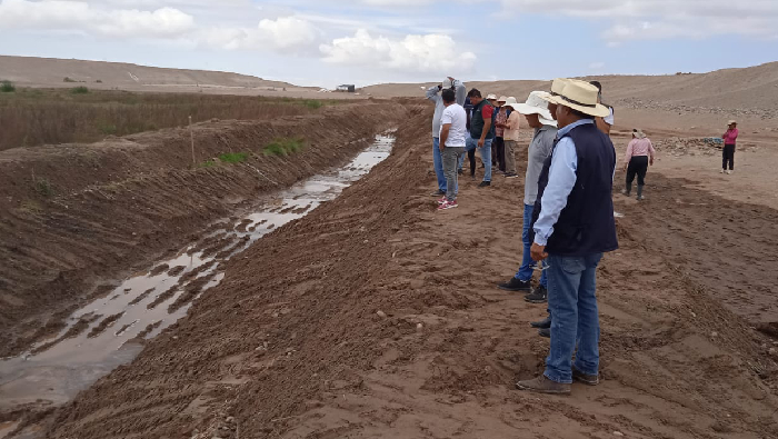 Trabajo conjunto permite el drenado de las parcelas.