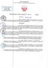Vista preliminar de documento RD N 00374