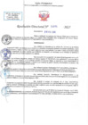 Vista preliminar de documento RD N 00375