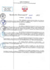 Vista preliminar de documento RD N 00381
