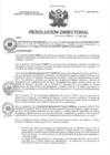 Vista preliminar de documento R.D N° 083-2025-HMA-DG