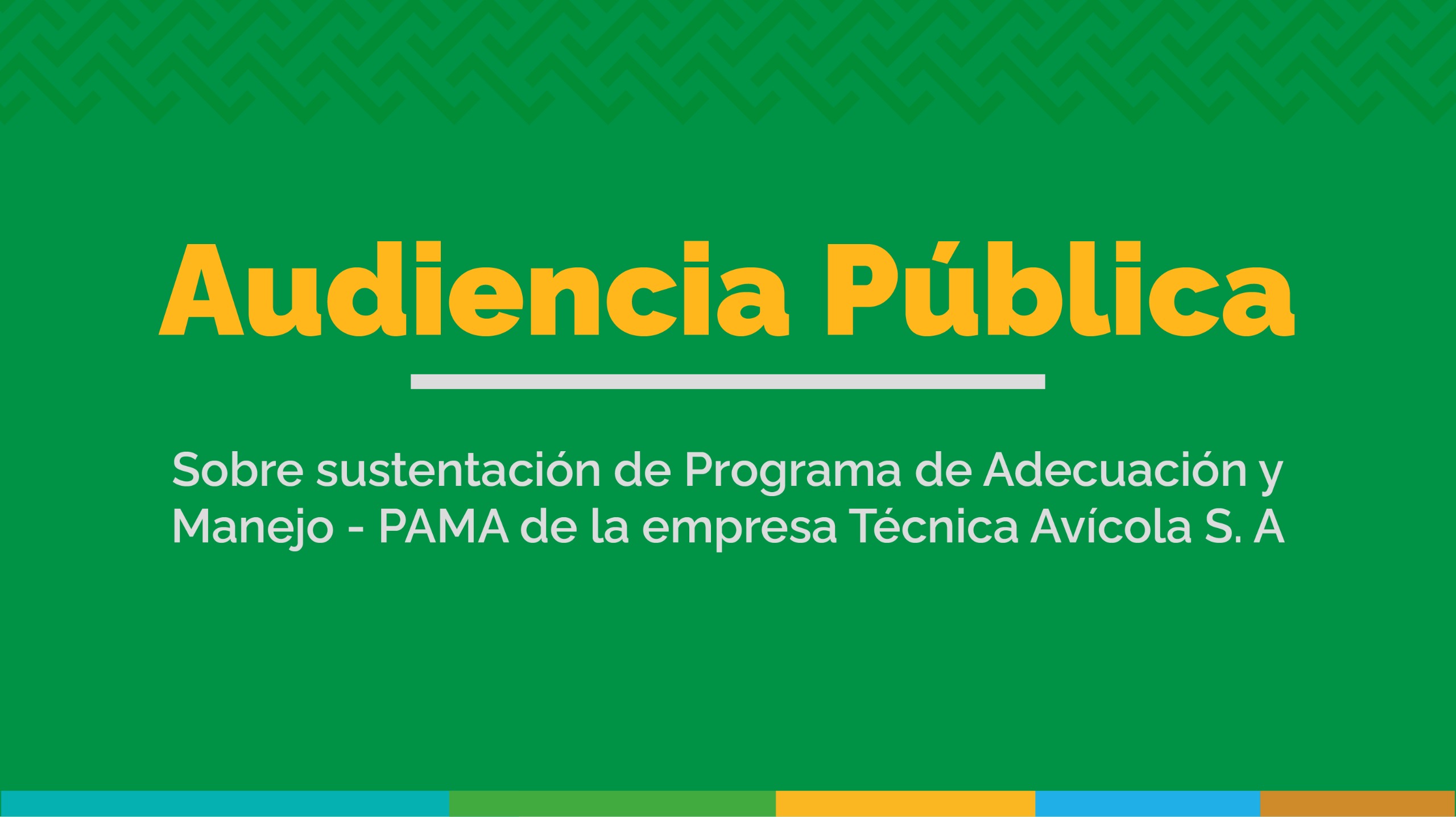 Audiencia Pública empresa Técnica Avícola S. A