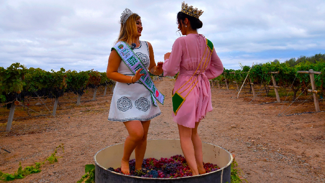 La Vendimia, una fiesta de tradición y sabor.