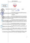 Vista preliminar de documento RD N 00393