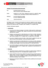 Vista preliminar de documento RD_101_2025_MINEM_DGAAM