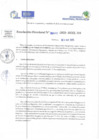 Vista preliminar de documento RD N 00417
