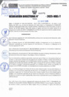 Vista preliminar de documento R.D N° 699-2025