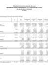 Vista preliminar de documento Proceso presupuestario del año 2020 resumen del marco presupuestal y la ejecución del gasto del mes de enero a diciembre