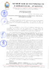 Vista preliminar de documento RESOLUCION 1001