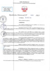 Vista preliminar de documento RD N 00452