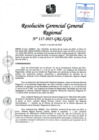 Vista preliminar de documento RGGR 117-2025-GRL-GGR