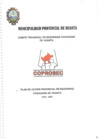 Vista preliminar de documento PLAN DE ACCIÓN PROVINCIAL DE SEGURIDAD CIUDADANA 2024-2027