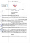 Vista preliminar de documento RD N 00484