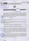 Vista preliminar de documento R.D N° 700-2025