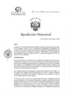 Vista preliminar de documento RD N°076-03-2025-DE-HCLLH-MINSA