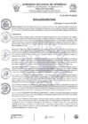 Vista preliminar de documento Resolución Directoral N.° 162-2025-HSR-AND-DE