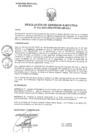 Vista preliminar de documento RGE_013_2025