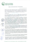 Vista preliminar de documento RD_2025_006