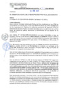 Vista preliminar de documento RGM N° 077
