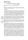 Vista preliminar de documento RGM N°110-2025
