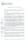 Vista preliminar de documento RD_2025_021