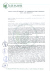 Vista preliminar de documento RD_2025_001_GAF