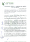 Vista preliminar de documento RD_2025_004_GAF