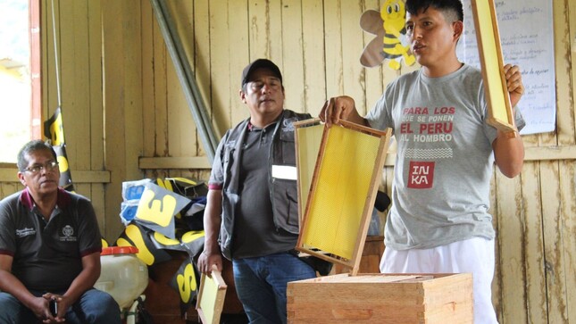 En el caserío Meseta, distrito de Shunte, provincia de Tocache, se abordó el tema “Preparación de la colmena para la formación de núcleos con doble reina”